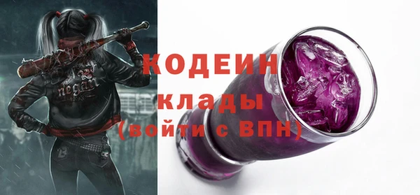 МДПВ Иннополис