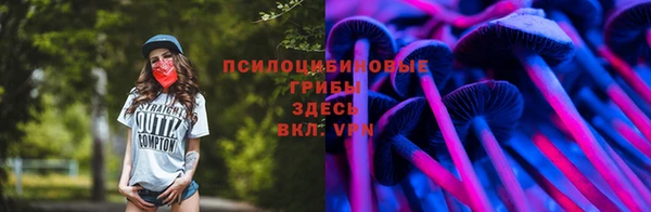 МДПВ Иннополис