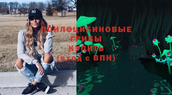 тгк Каменка